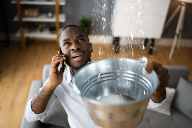 Best Local water damage restoration  in Duboistown, PA