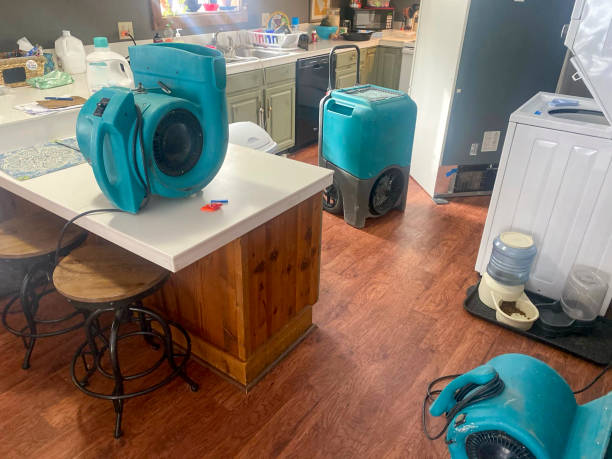 Best Ceiling water damage repair  in Duboistown, PA