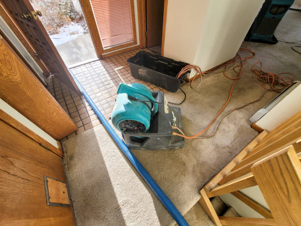 Professional Water damage restoration in Duboistown, PA