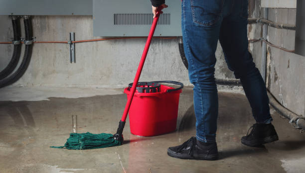 Best Water damage contractors near me  in Duboistown, PA