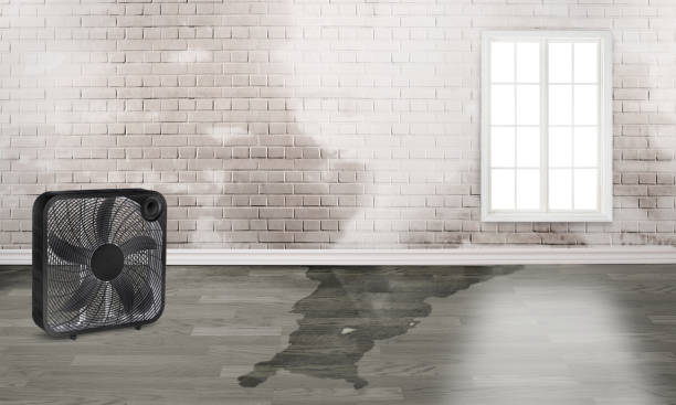 Best Water damage cleanup near me  in Duboistown, PA