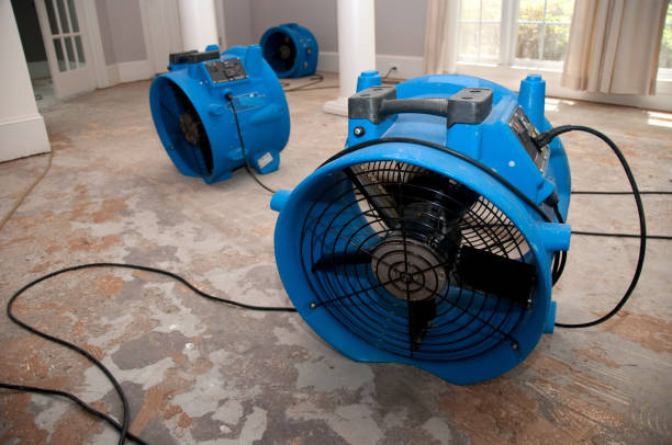 Best Water damage restoration experts  in Duboistown, PA