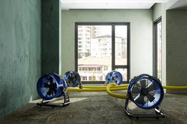 Best Fire Damage Restoration  in Duboistown, PA
