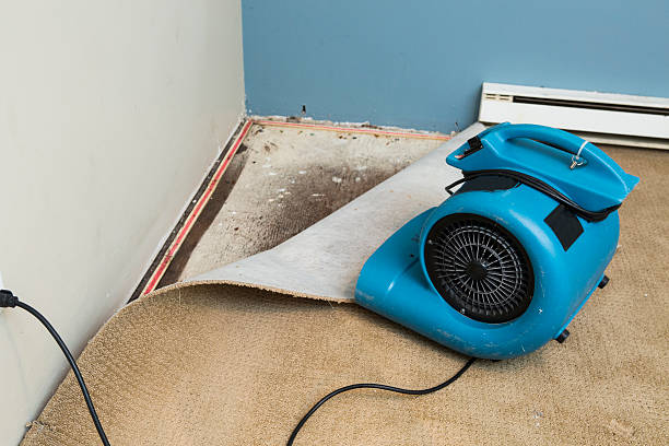 Best Water damage restoration near me  in Duboistown, PA